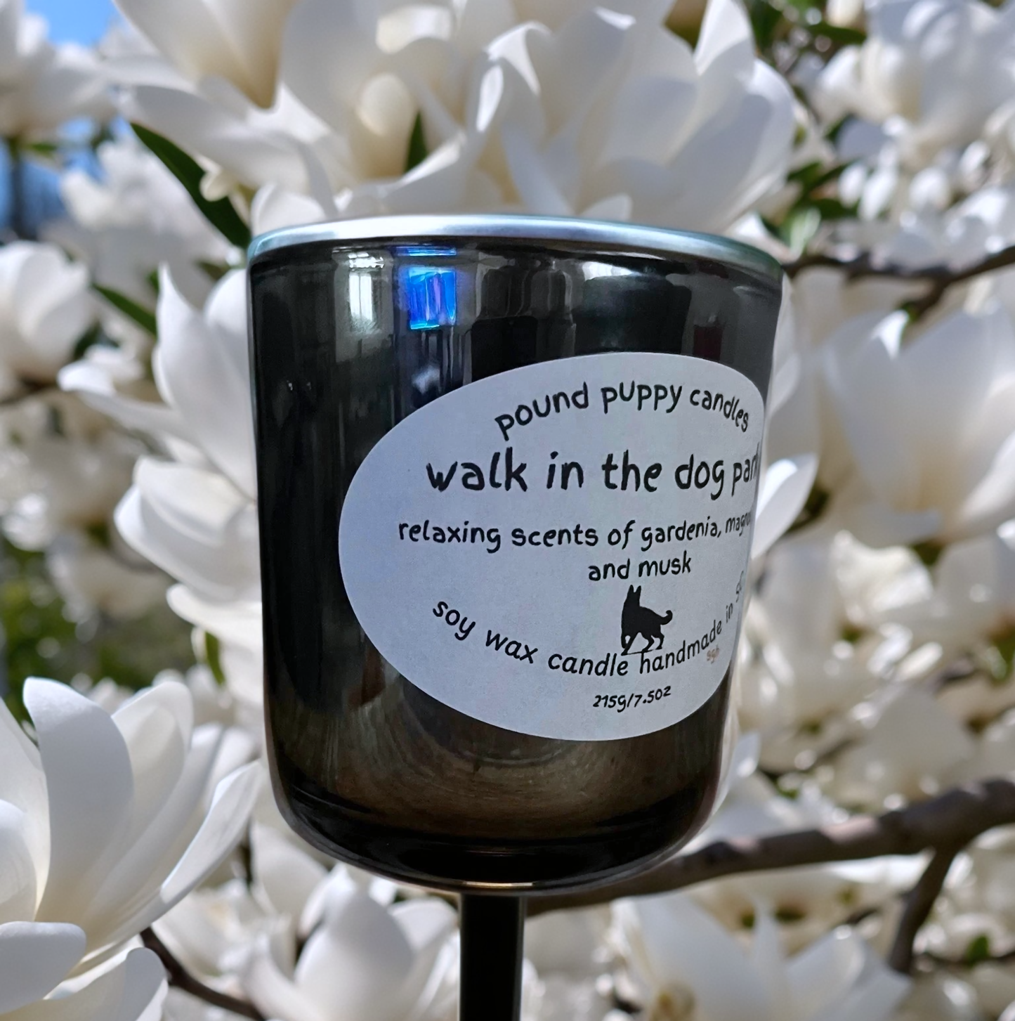 Walk in the Dog Park