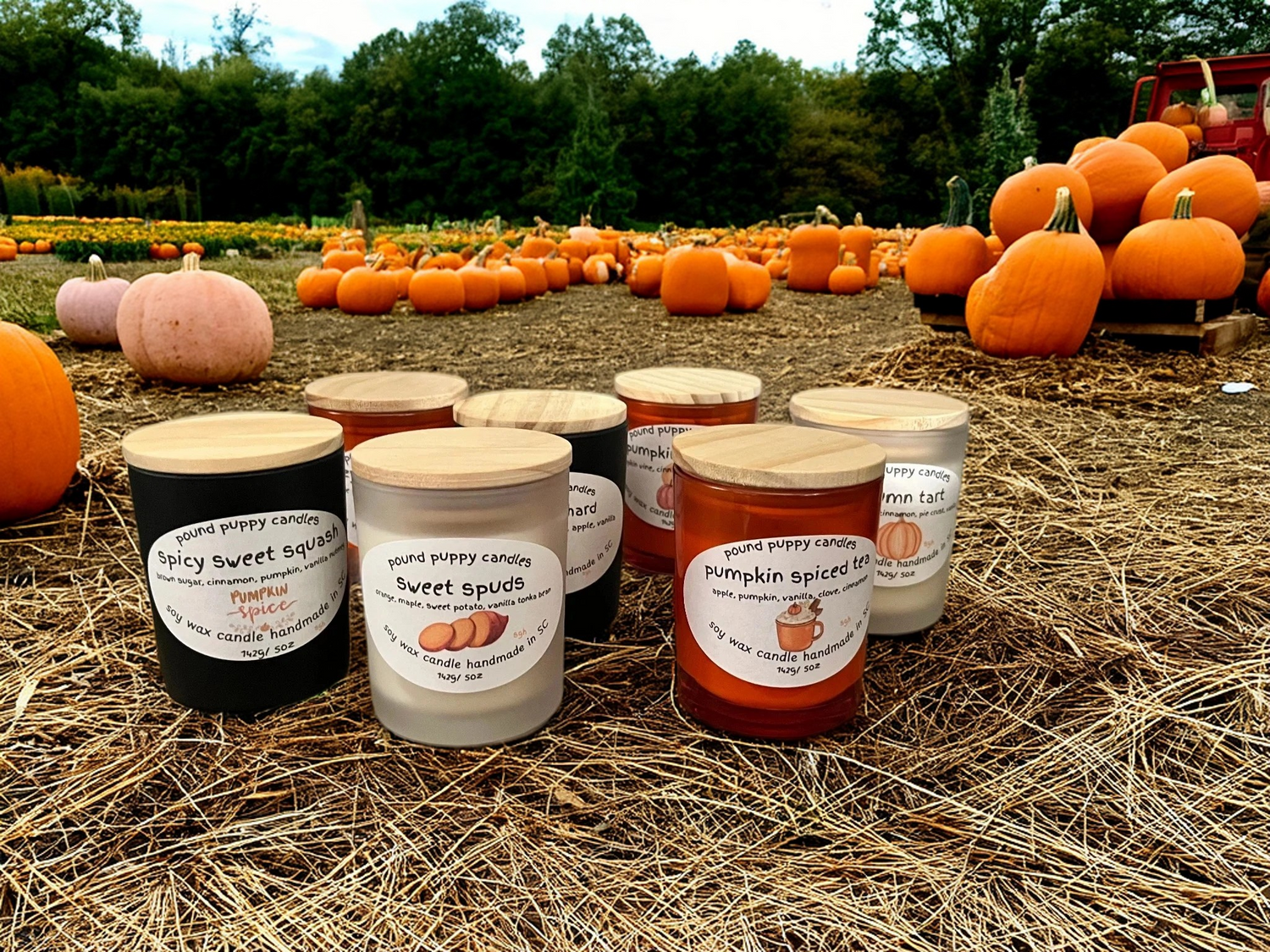 Fall Scents