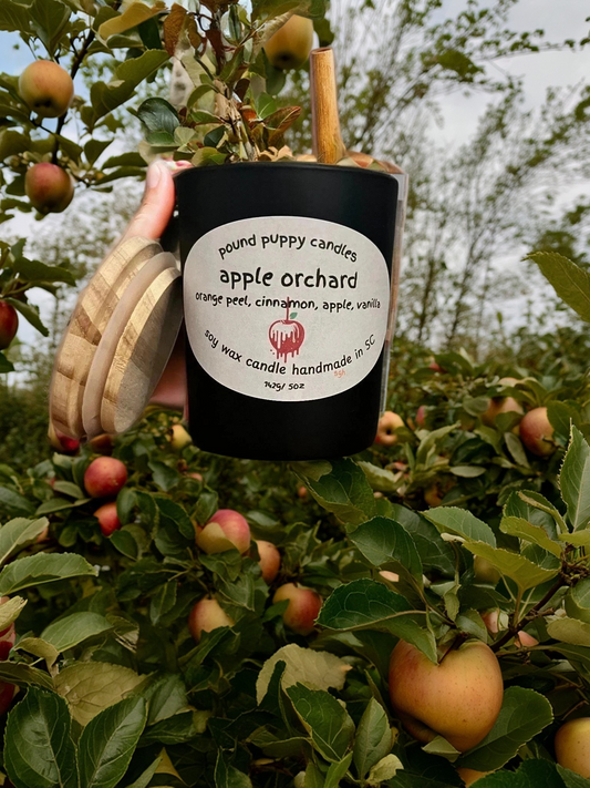 apple orchard