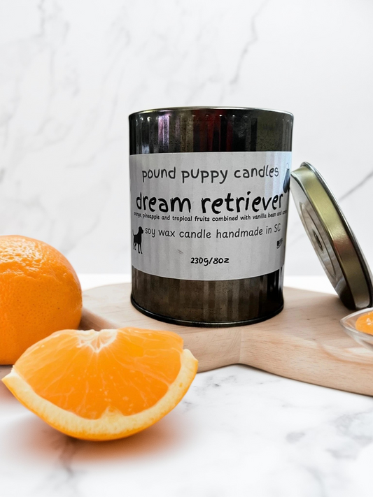 Dream Retriever