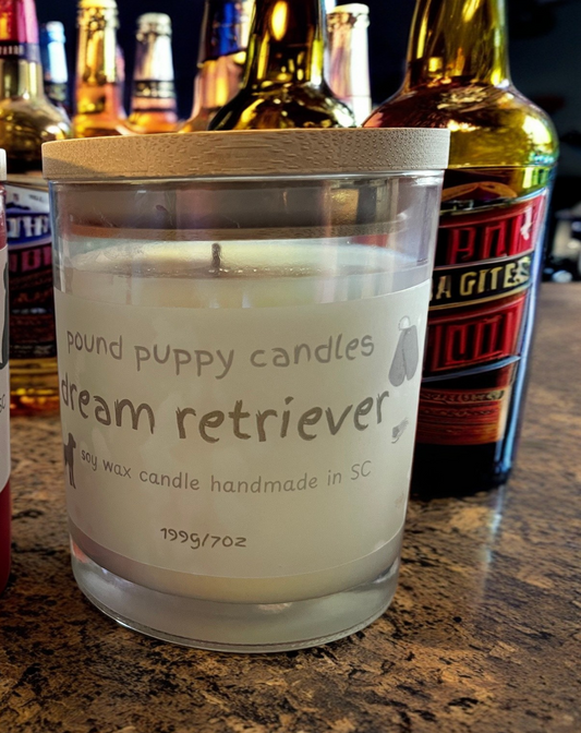 Dream Retriever