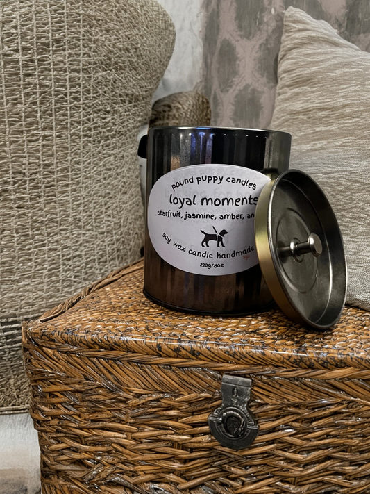 Loyal Moments