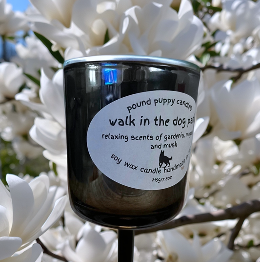 Walk in the Dog Park